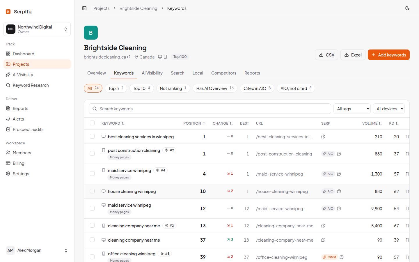 Keywords table with positions, daily change, AI Overview badges, volume and difficulty